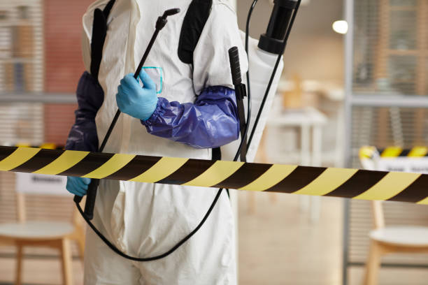 Professional Sewage Cleanup technician working in Maplewood, WA
